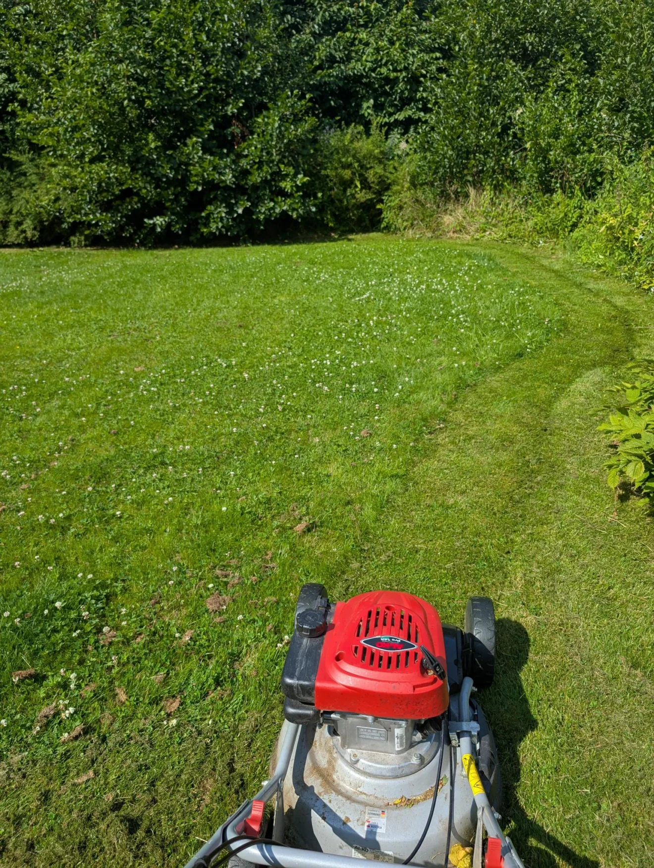 Gräsklippning i Lysekil: gräsklippare på en nyklippt gräsmatta